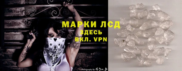 прущие грибы Вяземский