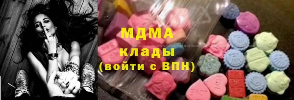 прущие грибы Вяземский