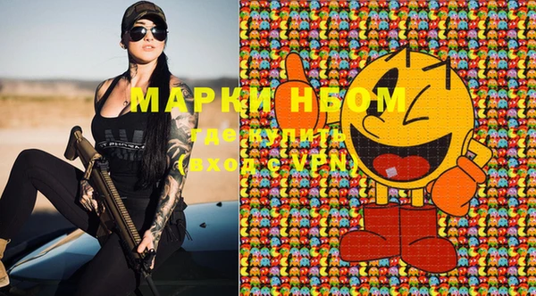 прущие грибы Вяземский