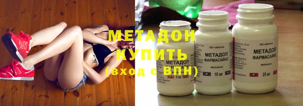 прущие грибы Вяземский