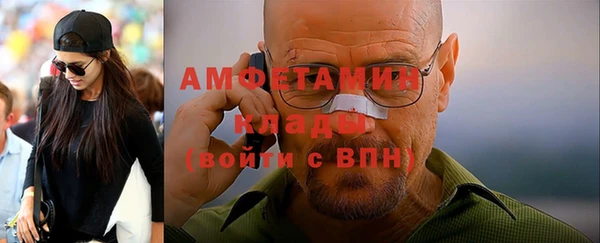 прущие грибы Вяземский