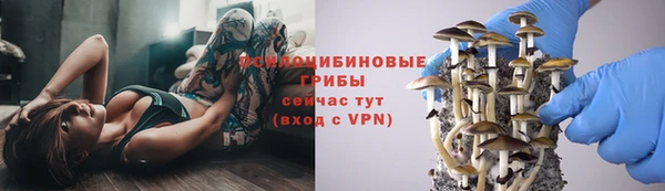 apvp Вязники