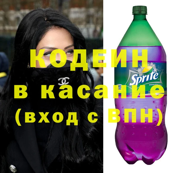 прущие грибы Вяземский