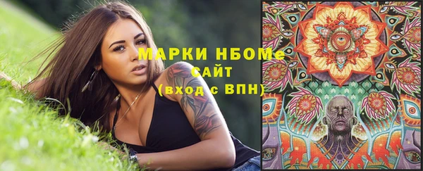 прущие грибы Вяземский