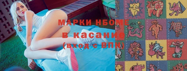 прущие грибы Вяземский