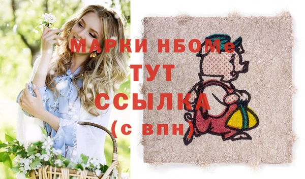 прущие грибы Вяземский